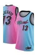 Image result for Heat Miami Gilrs