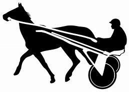 Image result for Harness Racing Horse Transparent