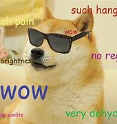 Image result for So Doge WoW Meme