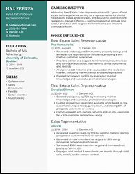 Image result for Sales Representative Resume Examples