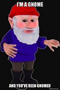 Image result for Gnome Saying Meme