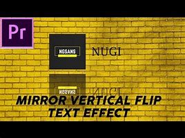 Image result for Vertical Flip