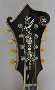 Image result for Gibson Mandolin Headstock