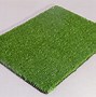 Image result for Cricket Grass