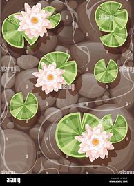 Image result for Lily Pad Vector Mono