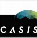 Image result for casis