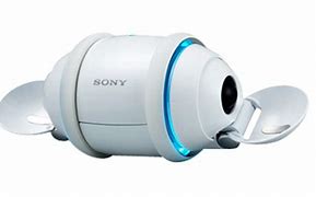 Image result for Sony Rolly