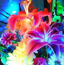 Image result for Neon Flowers iPhone Wallpaper