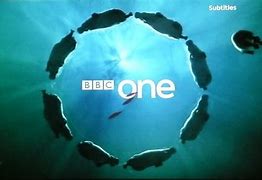 Image result for BBC One Hippos Ident