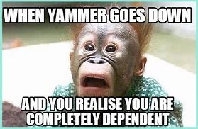 Image result for Yammer Meme