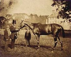 Image result for 1800s Lexington Race Horse