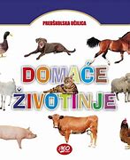 Image result for Domace Zivotinje Prvi Razred