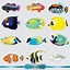 Image result for Sea Life Fish Clip Art