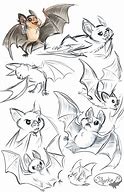 Image result for Realistic Vampire Bat Drawings