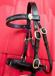 Image result for Double Bridle