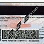 Image result for Texas Fake ID