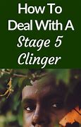 Image result for What Is a Stage 5 Clinger