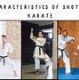 Image result for Shotokan Karate Belts
