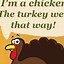 Image result for Funny Turkey Wallpaper