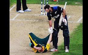 Image result for Funny Cricket