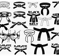 Image result for Hanshi Karate Belts