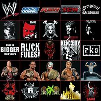 Image result for WWE DVD List
