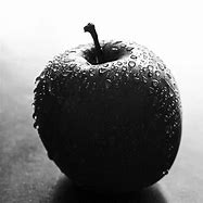 Image result for Apple Black and White Photography