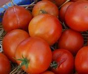 Image result for Richland Farmers Market WA