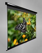 Image result for Wall Mount Projector Screen