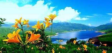 Image result for Nature Touch Screen Wallpaper