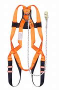 Image result for Photo HD Lanyard Harness