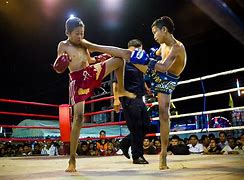 Image result for Muay Thai Belts