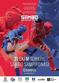 Image result for Sambo Martial Art