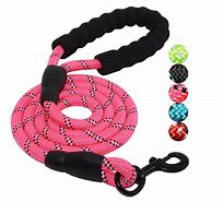 Image result for Dog Leashes for Large Dogs