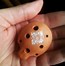 Image result for 12 Hole Ocarina