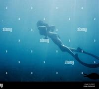 Image result for Deep Sea Swimming