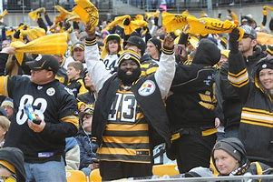 Image result for Mad Steelers Fan