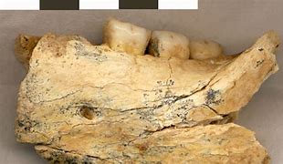 Image result for Big Jawbone