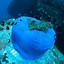 Image result for Underwater Surface