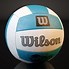 Image result for Wilson Volleyball Ball