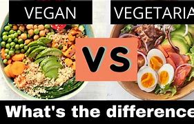 Image result for Vegan vs Vegetarian Icon