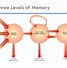 Image result for Echoic Memory Example