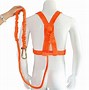 Image result for Full-Body Climbing Harnesses