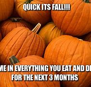 Image result for Pumpkin Season Meme