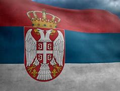 Image result for Serbia WW2 Flag