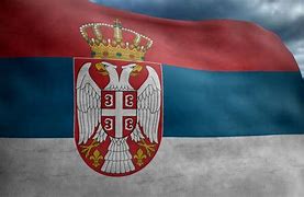 Image result for Serbian Shield