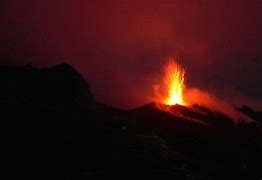 Image result for Pompeii Volcano Victims