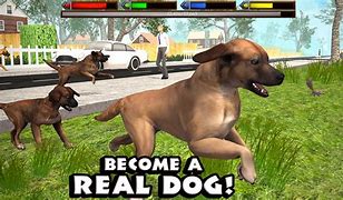 Image result for Cool Dog Games