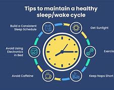 Image result for Waking Up at 4 AM Schedule