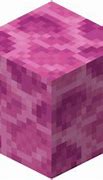 Image result for Minecraft Expanding Brain Memes